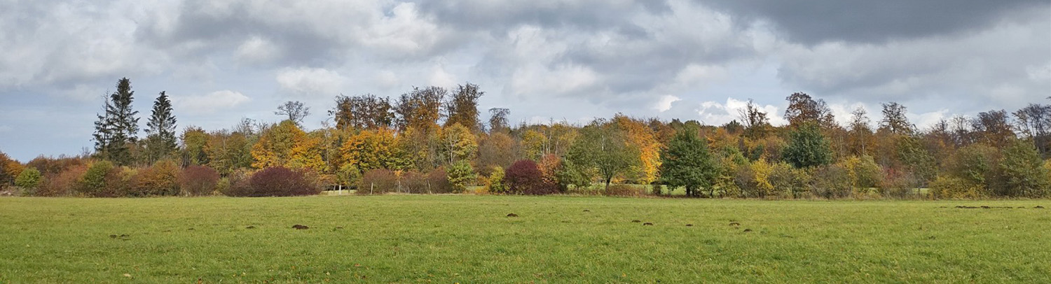 Stellberg Herbst